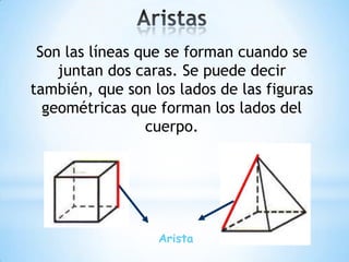 Arista
Son las líneas que se forman cuando se
juntan dos caras. Se puede decir
también, que son los lados de las figuras
geométricas que forman los lados del
cuerpo.