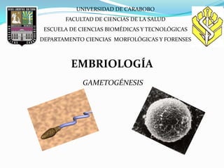 UNIVERSIDAD DE CARABOBO
       FACULTAD DE CIENCIAS DE LA SALUD
 ESCUELA DE CIENCIAS BIOMÉDICAS Y TECNOLÓGICAS
DEPARTAMENTO CIENCIAS MORFOLÓGICAS Y FORENSES



         EMBRIOLOGÍA
             GAMETOGÉNESIS
 