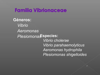 17
Géneros:
Vibrio
Aeromonas
PlesiomonasEspecies:
Vibrio cholerae
Vibrio parahaemolyticus
Aeromonas hydrophila
Plesiomonas shigelloides
 