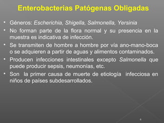 6
 Géneros: Escherichia, Shigella, Salmonella, Yersinia
 No forman parte de la flora normal y su presencia en la
muestra es indicativa de infección.
 Se transmiten de hombre a hombre por vía ano-mano-boca
o se adquieren a partir de aguas y alimentos contaminados.
 Producen infecciones intestinales excepto Salmonella que
puede producir sepsis, neumonías, etc.
 Son la primer causa de muerte de etiología infecciosa en
niños de países subdesarrollados.
Enterobacterias Patógenas Obligadas
 