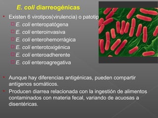  Existen 6 virotipos(virulencia) o patotipos
 E. coli enteropatógena
 E. coli enteroinvasiva
 E. coli enterohemorrágica
 E. coli enterotoxigénica
 E. coli enteroadherente
 E. coli enteroagregativa
 Aunque hay diferencias antigénicas, pueden compartir
antígenos somáticos.
 Producen diarrea relacionada con la ingestión de alimentos
contaminados con materia fecal, variando de acuosas a
disentéricas.
E. coli diarreogénicas
 