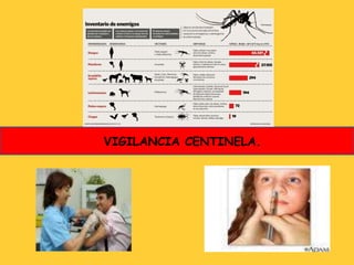 VIGILANCIA CENTINELA.
 
