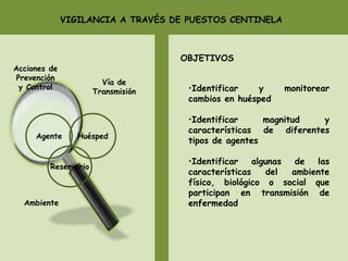 VIGILANCIA A TRAVÉS DE PUESTOS CENTINELA
Ambiente
Acciones de
Prevención
y Control
HuéspedAgente
Reservorio
Vía de
Transmisión
OBJETIVOS
•Identificar y monitorear
cambios en huésped
•Identificar magnitud y
características de diferentes
tipos de agentes
•Identificar algunas de las
características del ambiente
físico, biológico o social que
participan en transmisión de
enfermedad
 