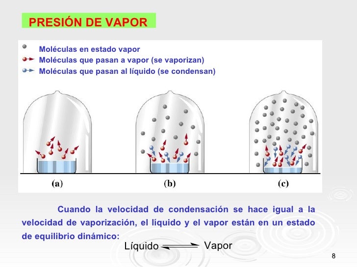 Clase de estado liquido