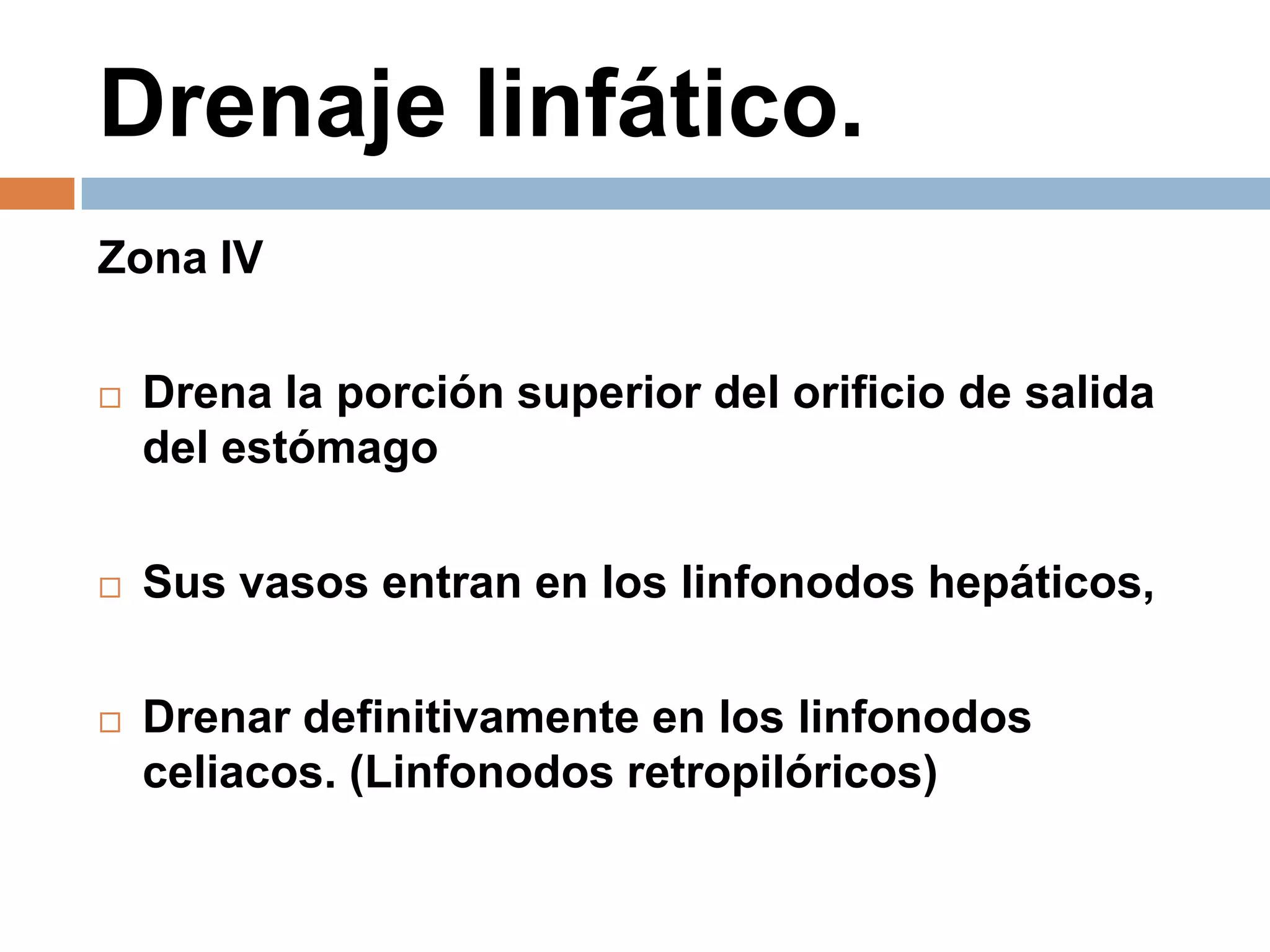 Drenaje linfático.
Zona IV
 Drena la porción superior del orificio de salida
del estómago
 Sus vasos entran en los linfonodos hepáticos,
 Drenar definitivamente en los linfonodos
celiacos. (Linfonodos retropilóricos)
 