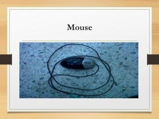 Mouse
 