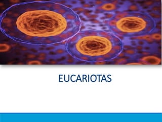 EUCARIOTAS
 