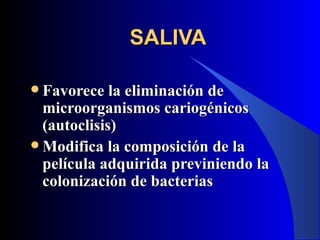 SALIVA

 Favorece la eliminación de
  microorganismos cariogénicos
  (autoclisis)
 Modifica la composición de la
  película adquirida previniendo la
  colonización de bacterias
 