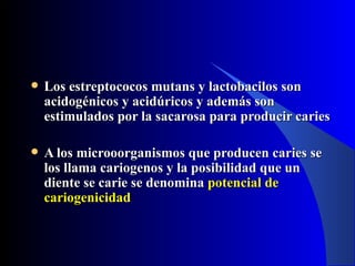    Los estreptococos mutans y lactobacilos son
    acidogénicos y acidúricos y además son
    estimulados por la sacarosa para producir caries

   A los microoorganismos que producen caries se
    los llama cariogenos y la posibilidad que un
    diente se carie se denomina potencial de
    cariogenicidad
 