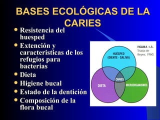 BASES ECOLÓGICAS DE LA
        CARIES
 Resistencia del
  huesped
 Extención y
  caracteristicas de los
  refugios para
  bacterias
 Dieta
 Higiene bucal
 Estado de la dentición
 Composición de la
  flora bucal
 