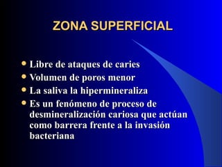 ZONA SUPERFICIAL

 Libre de ataques de caries
 Volumen de poros menor
 La saliva la hipermineraliza
 Es un fenómeno de proceso de
  desmineralización cariosa que actúan
  como barrera frente a la invasión
  bacteriana
 