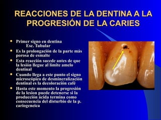 REACCIONES DE LA DENTINA A LA
      PROGRESIÓN DE LA CARIES

   Primer signo en dentina
          Esc. Tubular
   Es la prolongación de la parte más
    porosa de esmalte
   Esta reacción sucede antes de que
    la lesión llegue al límite amelo
    dentinal
   Cuando llega a este punto el signo
    microscópico de desmineralización
    dentinal es la decoloración café
   Hasta este momento la progresión
    de la lesion puede detenerse si la
    producción ácida termina como
    consecuencia del disturbio de la p.
    cariogeneica
 