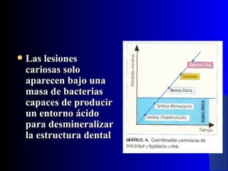    Las lesiones
    cariosas solo
    aparecen bajo una
    masa de bacterias
    capaces de producir
    un entorno ácido
    para desmineralizar
    la estructura dental
 
