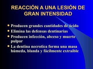 REACCIÓN A UNA LESIÓN DE
        GRAN INTENSIDAD

 Producen grandes cantidades de ácido
 Elimina las defensas dentinarias
 Producen infección, abceso y muerte
  pulpar
 La dentina necrotica forma una masa
  húmeda, blanda y fácilmente extraible
 