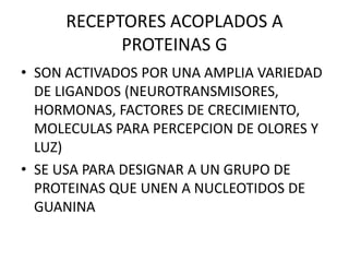 RECEPTORES ACOPLADOS A
PROTEINAS G
• SON ACTIVADOS POR UNA AMPLIA VARIEDAD
DE LIGANDOS (NEUROTRANSMISORES,
HORMONAS, FACTORES DE CRECIMIENTO,
MOLECULAS PARA PERCEPCION DE OLORES Y
LUZ)
• SE USA PARA DESIGNAR A UN GRUPO DE
PROTEINAS QUE UNEN A NUCLEOTIDOS DE
GUANINA
 