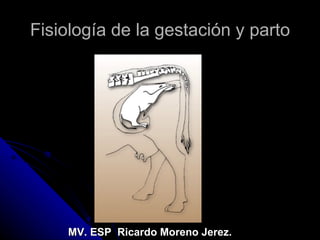 Fisiología de la gestación y parto MV. ESP  Ricardo Moreno Jerez. 