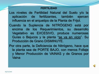 FERTILIDAD
      Los niveles de Fertilidad Natural del Suelo y/o la
        aplicación de fertilizantes, también ejercen
        influencia en el arquetipo de la Planta de Frijol.
      Cuando la Suplencia de NITRÓGENO está por
        encima de los Requerimientos, su desarrollo
        Vegetativo es EXCESIVO, produce numerosas
        Guías o Bejucos y la planta “se va en vicio”. Su
        Producción de Grano DISMINUYE.
      Por otra parte, la Deficiencia de Nitrógeno, hace que
        la planta sea de PORTE BAJO, con menos Follaje
        y Menor Producción de VAINAS y de Granos por
        Vaina



05/12/2011
 