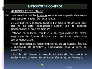 MÉTODOS DE CONTROL
1.   MÉTODOS PREVENTIVOS:
Consiste en evitar que las Malezas se introduzcan y establezcan en
   un área determinada. Se recomienda:
    Utilizar Semilla Certificada para la Siembra, a fin de garantizar
     que no se está introduciendo ningún tipo de semillas
     indeseable en el área de siembra.
    Rotación de Cultivos, con lo cual se logra romper los ciclos
     vegetativos de algunas Malezas, y su asociación indeseable
     con el Monocultivo.
    Poner en práctica las recomendaciones de Variedades, Épocas
     y Distancias de Siembra y Fertilización para la zona de
     siembras.
    Evitar la introducción al lote de siembra de maquinarias e
     implementos provenientes de áreas infectadas con Malezas.


                                                    05/12/2011
 