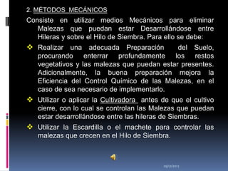 2. MÉTODOS MECÁNICOS
Consiste en utilizar medios Mecánicos para eliminar
   Malezas que puedan estar Desarrollándose entre
   Hileras y sobre el Hilo de Siembra. Para ello se debe:
 Realizar una adecuada Preparación          del Suelo,
   procurando     enterrar  profundamente los     restos
   vegetativos y las malezas que puedan estar presentes.
   Adicionalmente, la buena preparación mejora la
   Eficiencia del Control Químico de las Malezas, en el
   caso de sea necesario de implementarlo.
 Utilizar o aplicar la Cultivadora antes de que el cultivo
   cierre, con lo cual se controlan las Malezas que puedan
   estar desarrollándose entre las hileras de Siembras.
 Utilizar la Escardilla o el machete para controlar las
   malezas que crecen en el Hilo de Siembra.



                                           05/12/2011
 