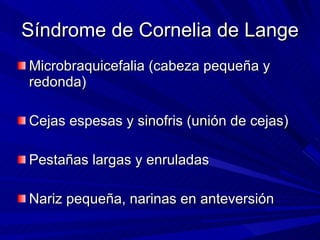 Síndrome de Cornelia de Lange  <ul><li>Microbraquicefalia (cabeza pequeña y redonda) </li></ul><ul><li>Cejas espesas y sin...