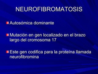 NEUROFIBROMATOSIS <ul><li>Autosómica dominante </li></ul><ul><li>Mutación en gen localizado en el brazo largo del cromosom...