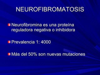 NEUROFIBROMATOSIS <ul><li>Neurofibromina es una proteína reguladora negativa o inhibidora </li></ul><ul><li>Prevalencia 1:...