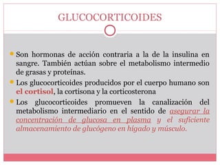 GLUCOCORTICOIDES
Son hormonas de acción contraria a la de la insulina en
sangre. También actúan sobre el metabolismo intermedio
de grasas y proteínas.
Los glucocorticoides producidos por el cuerpo humano son
el cortisol, la cortisona y la corticosterona
Los glucocorticoides promueven la canalización del
metabolismo intermediario en el sentido de asegurar la
concentración de glucosa en plasma y el suficiente
almacenamiento de glucógeno en hígado y músculo.
 