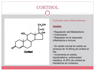CORTISOL
Conocido como Hidrocortisona
Acción:Acción:
• Regulación del Metabolismo
• Crecimiento
• Regulador en la respuesta
inflamatoria e inmune.
- En adulto normal sin estrés se
produce de 10-20mg de cortisol al
día.
- Incrementa en estrés,
hipotiroidismo, enfermedad
hepática, el 20% de cortisol se
transforma en cortisona.
 