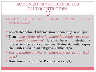 ACCIONES FISIOLOGICAS DE LOS
GLUCOCORTICOIDES
EFECTOS SOBRE EL SISTEMA INMUNE Y LA
INFLAMACION
Los efectos sobre el sistema inmune son muy complejos
Tienen mas efecto sobre la inmunidad celular que sobre
la inmunidad humoral. A dosis bajas no afectan la
producción de anticuerpos, los títulos de anticuerpos
circulantes ni la unión antígeno – anticuerpo.
Son antiinflamatorios e inmunosupresores (a dosis
altas)
Dosis inmunosupresión: Prednisona 1 mg/kg
 