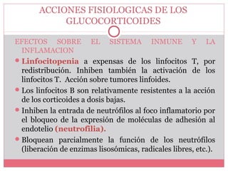 ACCIONES FISIOLOGICAS DE LOS
GLUCOCORTICOIDES
EFECTOS SOBRE EL SISTEMA INMUNE Y LA
INFLAMACION
Linfocitopenia a expensas de los linfocitos T, por
redistribución. Inhiben también la activación de los
linfocitos T. Acción sobre tumores linfoides.
Los linfocitos B son relativamente resistentes a la acción
de los corticoides a dosis bajas.
Inhiben la entrada de neutrófilos al foco inflamatorio por
el bloqueo de la expresión de moléculas de adhesión al
endotelio (neutrofilia).
Bloquean parcialmente la función de los neutrófilos
(liberación de enzimas lisosómicas, radicales libres, etc.).
 