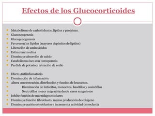 Efectos de los Glucocorticoides
 Metabolismo de carbohidratos, lípidos y proteínas.
 Gluconeogenesis
 Glucogenogenesis
 Favorecen los lípidos (mayores depósitos de lípidos)
 Liberación de aminoácidos
 Estimulan insulina
 Disminuye absorción de calcio
 Catabolismo óseo con osteoporosis
 Perdida de potasio y retención de sodio
 Efecto Antiinflamatorio
 Disminución de inflamación
 Altera concentración, distribución y función de leucocitos.
 Disminución de linfocitos, monocitos, basófilos y eosinófilos
 Neutrofilos menor migración desde vasos sanguíneos
 Inhibe función de macrófagos tisulares
 Disminuye función fibroblasto, menos producción de colágeno
 Disminuye acción osteoblastos e incrementa actividad osteoclastia
 
