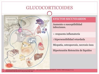 GLUCOCORTICOIDES
EFECTOS SECUNDARIOS
Aumento o susceptibilidad
infecciones.
↓ respuesta inflamatoria
↓hipersensibilidad retardada
Miopatía, osteoporosis, necrosis ósea
Hipertensión Retención de líquidos
1. ANTIINFLAMMATORY ACTION OF GLUCOCORTICOIDS — NEW MECHANISMS FOR OLD DRUGS. N ENGL J MED 2005;353:1711-23
4. ENDOCRINOL METAB CLIN N AM 36 (2007) 891–905
 