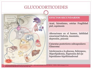 GLUCOCORTICOIDES
EFECTOS SECUNDARIOS
Acné, hirsutismo, estrías Fragilidad
piel, equimosis
Alteraciones en el humor, labilidad
emocional Euforia, insomnio,
depresión, psicosis
Cataratas posteriores subcapsulares
Glaucoma
Intolerancia a la glucosa, Sobrepeso,
Hiperlipidemia, Supresión del eje
hipotálamo-hipófisisadrenal
1. ANTIINFLAMMATORY ACTION OF GLUCOCORTICOIDS — NEW MECHANISMS FOR OLD DRUGS. N ENGL J MED 2005;353:1711-23
4. ENDOCRINOL METAB CLIN N AM 36 (2007) 891–905
 