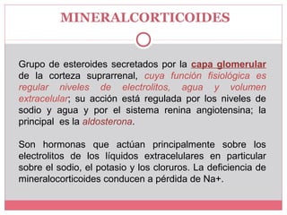 MINERALCORTICOIDES
Grupo de esteroides secretados por la capa glomerular
de la corteza suprarrenal, cuya función fisiológica es
regular niveles de electrolitos, agua y volumen
extracelular; su acción está regulada por los niveles de
sodio y agua y por el sistema renina angiotensina; la
principal es la aldosterona.
Son hormonas que actúan principalmente sobre los
electrolitos de los líquidos extracelulares en particular
sobre el sodio, el potasio y los cloruros. La deficiencia de
mineralocorticoides conducen a pérdida de Na+.
 