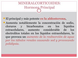 MINERALCORTICOIDES:
Hormona Principal
El principal y más potente es la aldosterona,
Aumenta notablemente la concentración de sodio,
cloruros y bicarbonatos en los líquidos
extracelulares, aumento considerable de los
electrolitos totales en los líquidos extracelulares, lo
que provoca un aumento de la reabsorción de agua
por los túbulos renales causando sed y provocando
polidipsia.
 