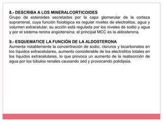 8.- DESCRIBA A LOS MINERALCORTICOIDES
Grupo de esteroides secretados por la capa glomerular de la corteza
suprarrenal, cuya función fisiológica es regular niveles de electrolitos, agua y
volumen extracelular; su acción está regulada por los niveles de sodio y agua
y por el sistema renina angiotensina; el principal MCC es la aldosterona.
9.- ESQUEMATICE LA FUNCIÓN DE LA ALDOSTERONA
Aumenta notablemente la concentración de sodio, cloruros y bicarbonatos en
los líquidos extracelulares, aumento considerable de los electrolitos totales en
los líquidos extracelulares, lo que provoca un aumento de la reabsorción de
agua por los túbulos renales causando sed y provocando polidipsia.
 