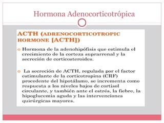 Hormona Adenocorticotrópica
 