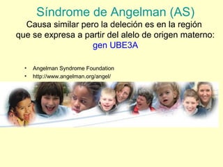Síndrome de Angelman (AS) 
Causa similar pero la deleción es en la región 
que se expresa a partir del alelo de origen materno: 
gen UBE3A 
• Angelman Syndrome Foundation 
• http://www.angelman.org/angel/ 
 