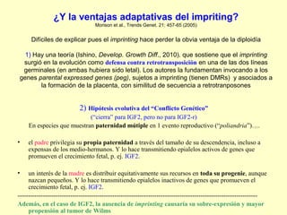 ¿Y la ventajas adaptativas del impriting? 
Morison et al., Trends Genet. 21: 457-65 (2005) 
Difíciles de explicar pues el imprinting hace perder la obvia ventaja de la diploidía 
1) Hay una teoría (Ishino, Develop. Growth Diff., 2010). que sostiene que el imprinting 
surgió en la evolución como defensa contra retrotransposición en una de las dos líneas 
germinales (en ambas hubiera sido letal). Los autores la fundamentan invocando a los 
genes parental expressed genes (peg), sujetos a imprinting (tienen DMRs) y asociados a 
la formación de la placenta, con similitud de secuencia a retrotranposones 
2) Hipótesis evolutiva del “Conflicto Genético” 
(“cierra” para IGF2, pero no para IGF2-r) 
En especies que muestran paternidad mútiple en 1 evento reproductivo (“poliandria”)…. 
• el padre privilegia su propia paternidad a través del tamaño de su descendencia, incluso a 
expensas de los medio-hermanos. Y lo hace transmitiendo epialelos activos de genes que 
promueven el crecimiento fetal, p. ej. IGF2. 
• un interés de la madre es distribuir equitativamente sus recursos en toda su progenie, aunque 
nazcan pequeños. Y lo hace transmitiendo epialelos inactivos de genes que promueven el 
crecimiento fetal, p. ej. IGF2. 
------------------------------------------------------------------------------------------------------------------ 
Además, en el caso de IGF2, la ausencia de imprinting causaría su sobre-expresión y mayor 
propensión al tumor de Wilms 
