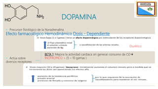 DOPAMINA
 Precursor fisiológico de la Noradrenalina
 Actúa sobre
diversos receptores
D1: Lecho vascular renal, mesentérico y coronario
D2: Inhibe la liberación de noradrenalina
BETA 1: Mejora la actividad cardiaca sin generar consumo de O2
INOTROPICO + (5 – 10 gamas )
ALFA 1: a nivel de la vasculatura  aumenta la RVP
(10 – 20 mcg/kg/min)
VASODILATACION
Diurético
Efecto farmacológico Hemodinámico Dosis - Dependiente
 