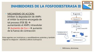  MECANISMO DE ACCION:
Inhiben la degradación de AMPc
al inhibir la enzima encargada de
tal proceso (FDE III) 
aumentando el AMPc intracelular
 Aumento de Ca++ aumento
de la fuerza de contracción
INHIBIDORES DE LA FOSFODIESTERASA III
Estos agentes son inotrópicos y vasodilatadores potentes y también
mejoran la relajación diastólica (efecto lusitropico)
 Milrinona ,Amrinona
 