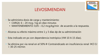 LEVOSIMENDAN
 Se administra dosis de carga y mantenimiento:
• CARGA: 6 – 24 mcg / kg en diez minutos
• MANTENIEMIENTO: 0,05 – 0,2 mcg/kg/min de acuerdo a la respuesta.
 Alcanza su efecto máximo entre 1 y 3 días dp de su administración
 Esta indicado en px con dependencia inotrópica (VM 10 A 15 días).
 Se elimina por via renal en el 50% Contraindicado en insuficiencia renal Cl Cr
< 30-25 ml/min
 