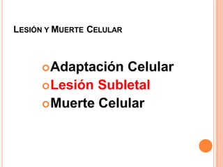 LESIÓN Y MUERTE CELULAR
Adaptación Celular
Lesión Subletal
Muerte Celular
 