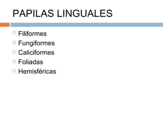 PAPILAS LINGUALES
 Filiformes
 Fungiformes
 Caliciformes
 Foliadas
 Hemisféricas
 