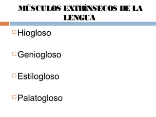 MÚSCULOS EXTRÍNSECOS DE LA
LENGUA
 Hiogloso
 Geniogloso
 Estilogloso
 Palatogloso
 
