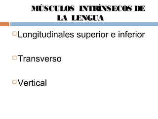 MÚSCULOS INTRÍNSECOS DE
LA LENGUA
 Longitudinales superior e inferior
 Transverso
 Vertical
 