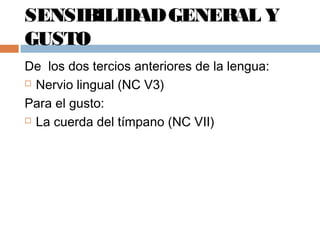 SENSIBILIDADGENERAL Y
GUSTO
De los dos tercios anteriores de la lengua:
 Nervio lingual (NC V3)
Para el gusto:
 La cuerda del tímpano (NC VII)
 