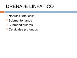 DRENAJE LINFÁTICO
 Nódulos linfáticos:
 Submentonianos
 Submandibulares
 Cervicales profundos
 