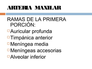 ARTERIA MAXILAR
RAMAS DE LA PRIMERA
PORCIÓN:
 Auricular profunda
 Timpánica anterior
 Meníngea media
 Meníngeas accesorias
 Alveolar inferior
 