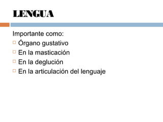 LENGUA
Importante como:
 Órgano gustativo
 En la masticación
 En la deglución
 En la articulación del lenguaje
 